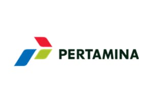 9 PETRAMINA