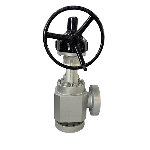 Angle Globe Valve