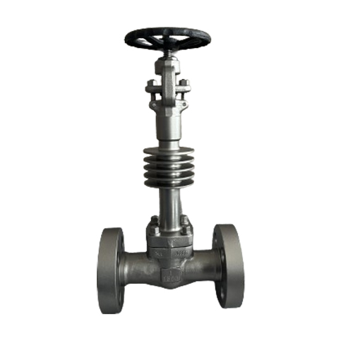 Extension Stem Gate Valve
