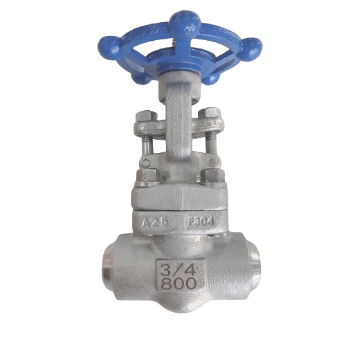 Forged Steel Gate Valve
